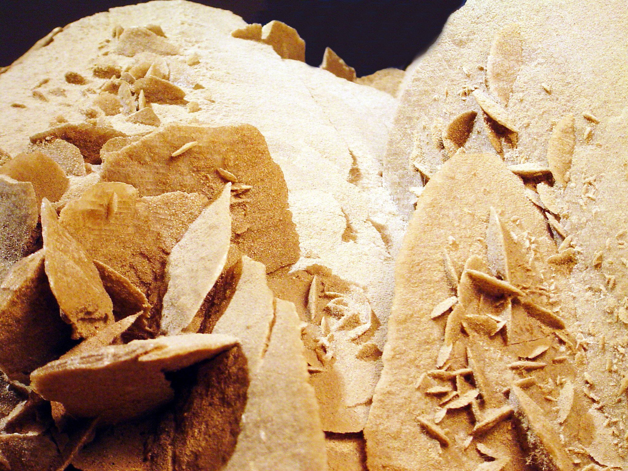 石膏（Gypsum）